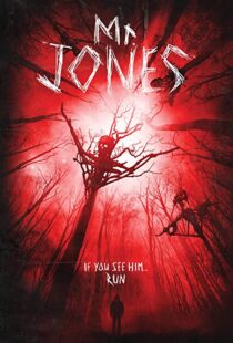 دانلود فیلم Mr. Jones 201337611-234964796