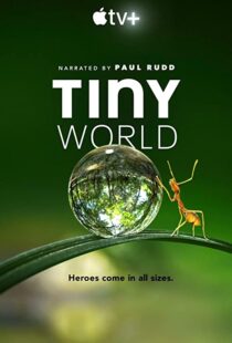 دانلود مستند Tiny World52124-1873131101
