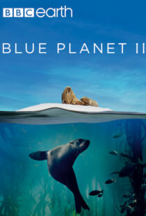 دانلود مستند Blue Planet II100194-278919592