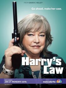 دانلود سریال Harry’s Law393952-980640725