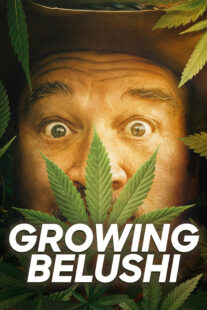 دانلود سریال Growing Belushi400424-1213685954