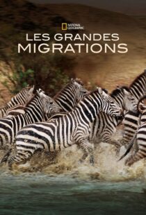 دانلود مستند Great Migrations417146-1683086652