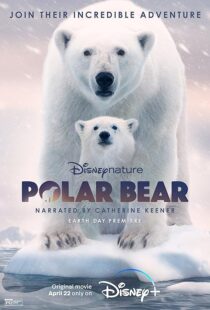 دانلود مستند Polar Bear 2022422974-242617590
