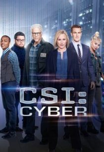 دانلود سریال CSI: Cyber428329-1768891535
